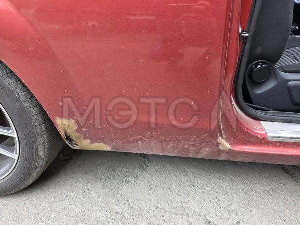 Ford Focus 2008, фото 2