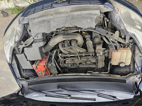 Ford Focus 2009, фото 9