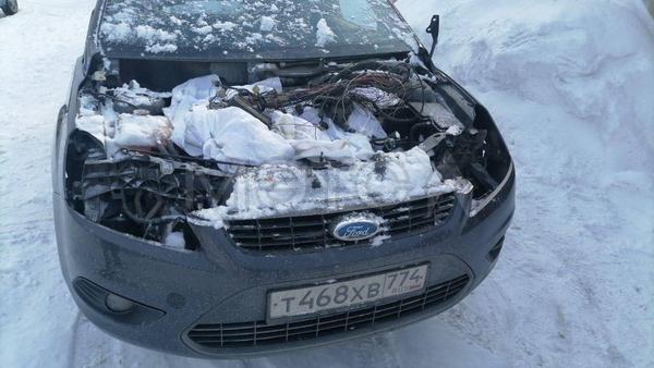 Ford Focus 2009, фото 2