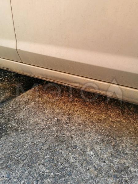 Ford Не указана 2011, фото 6