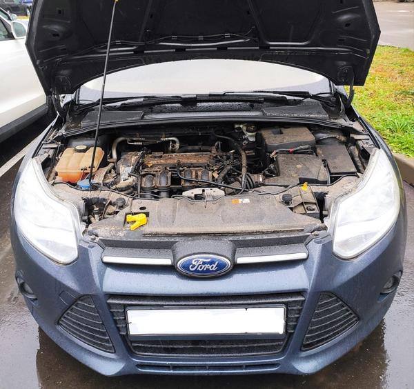 Ford Focus 2013, фото 3