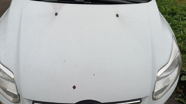 Ford Focus 2013, фото 10
