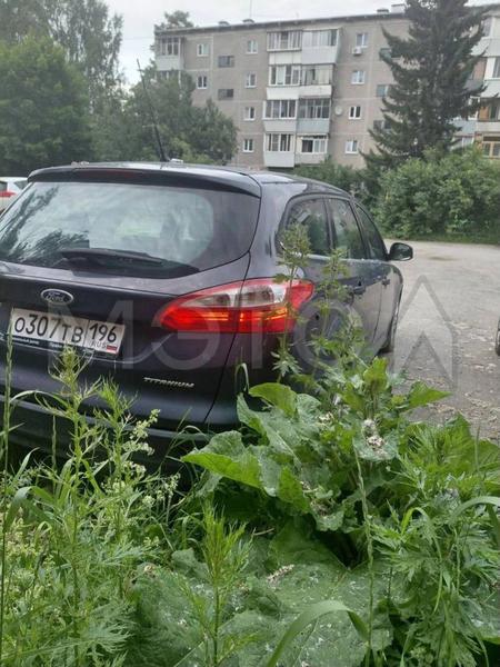 Ford Focus 2014, фото 4