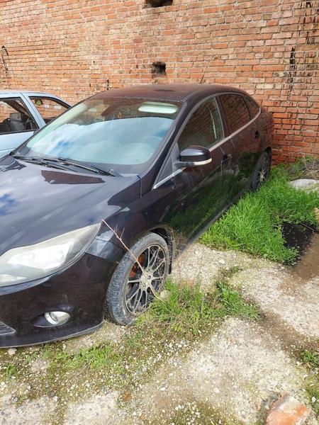 Ford Focus 2012, фото 2
