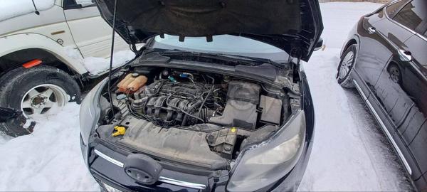 Ford Focus 2014, фото 16
