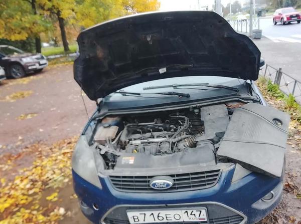 Ford Focus 2010, фото 7