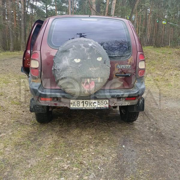 Chevrolet Niva 2004, фото 4