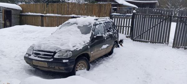 Chevrolet Niva 2007, фото 3