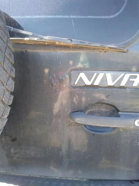 Chevrolet Niva 2010, фото 16