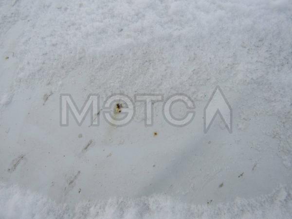 LADA Kalina 2010, фото 8