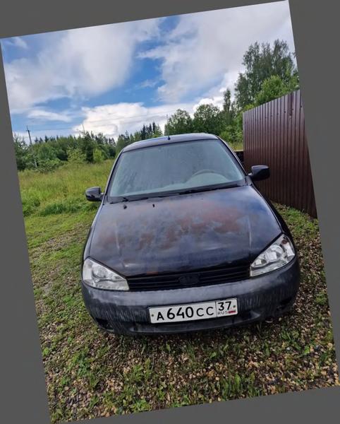 Lada (ВАЗ) Kalina 2012, фото 2