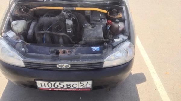 LADA Kalina 2010, фото 6