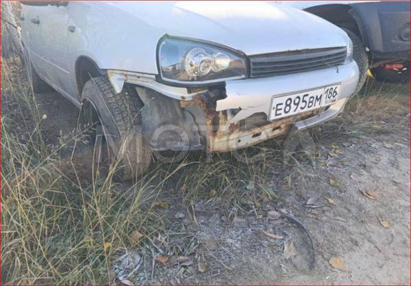 LADA Kalina 2008, фото 2