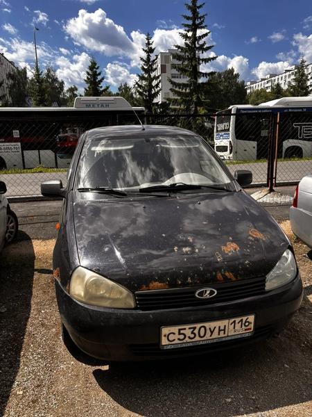 Lada (ВАЗ) Kalina 2012, фото 13