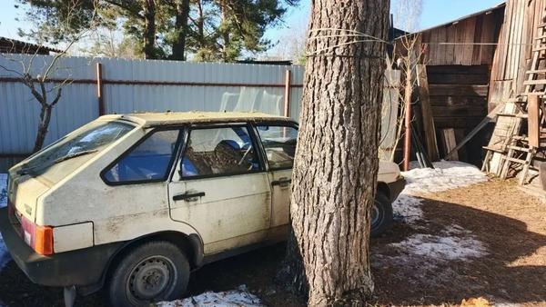 Lada (ВАЗ) 21093 1995, фото 4