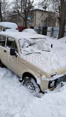 Lada (ВАЗ) 2121 (4x4) 1994 с торгов по банкротству, фото 1