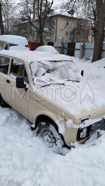 Lada (ВАЗ) 2121 1994, фото 3