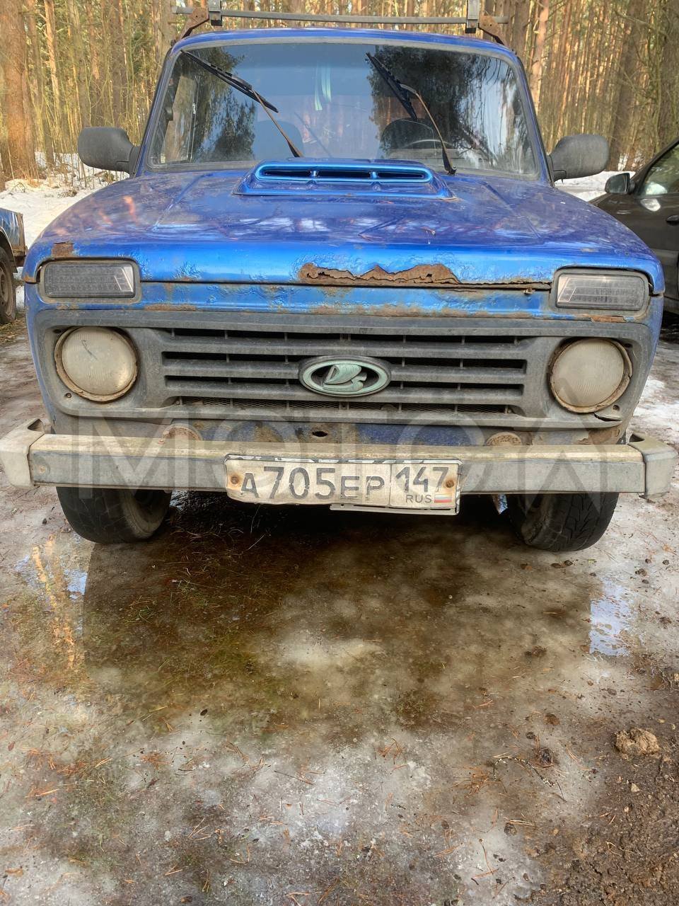 LADA 21213