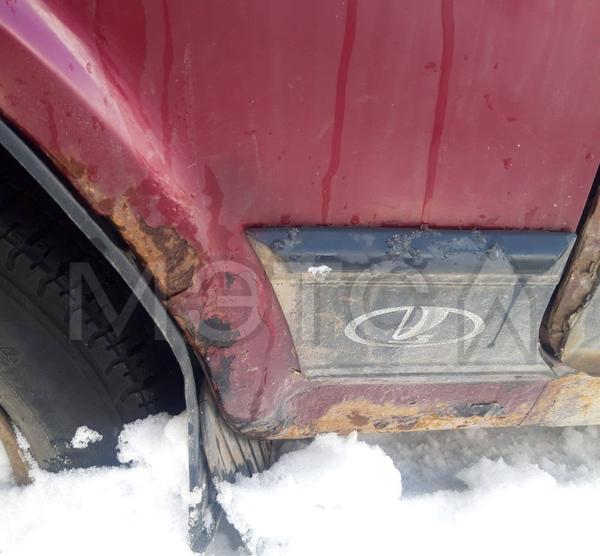 LADA 2131 2006, фото 12