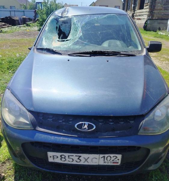 Lada (ВАЗ) Kalina 2014, фото 3