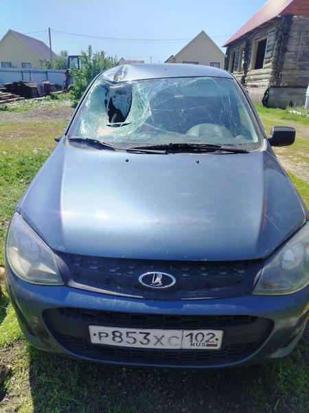 Lada (ВАЗ) Kalina 2014, фото 4