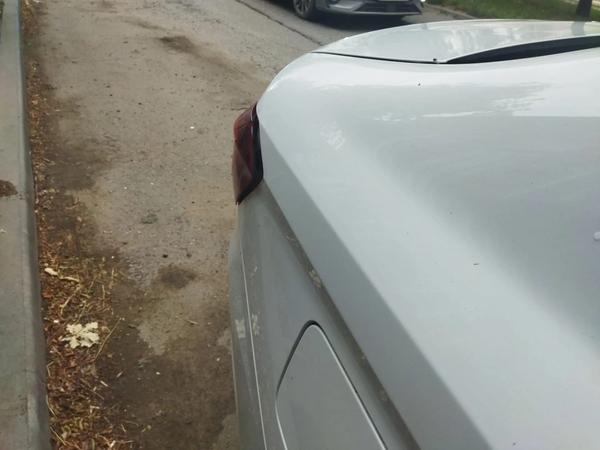 Lada (ВАЗ) Vesta 2023, фото 14