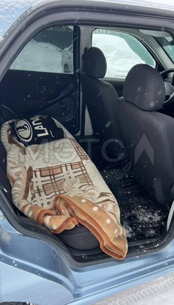 Fiat Albea 2007, фото 8