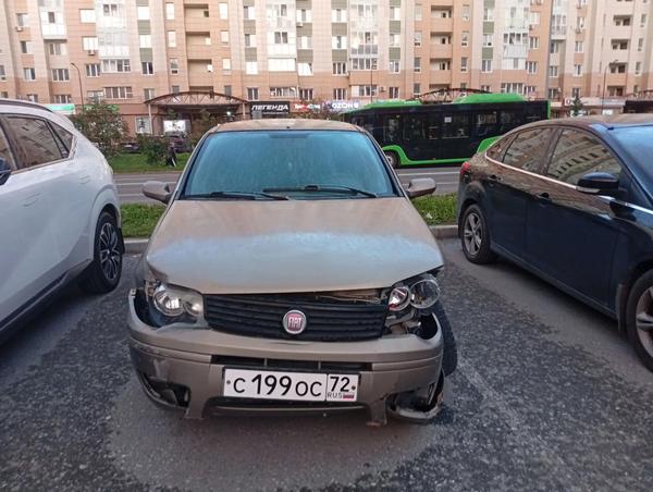 Fiat Albea 2012, фото 12