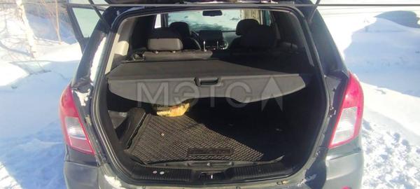 Opel Antara 2013, фото 11