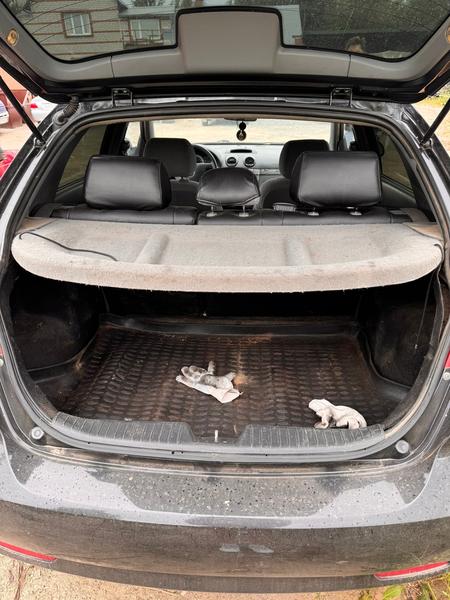 Chevrolet Lacetti 2008, фото 14