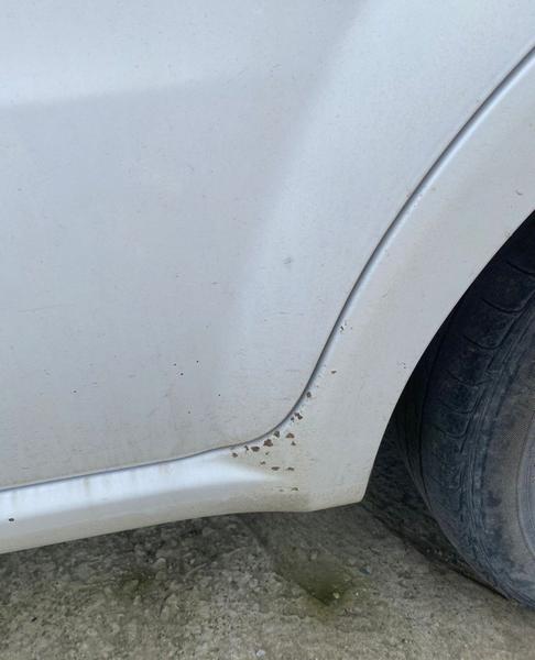 Chevrolet Aveo 2010, фото 4
