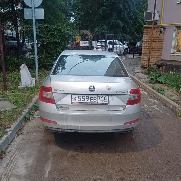 Skoda Octavia 2013, фото 6