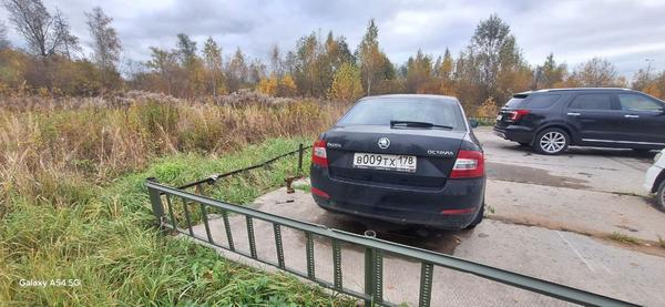 Skoda Octavia 2014, фото 7