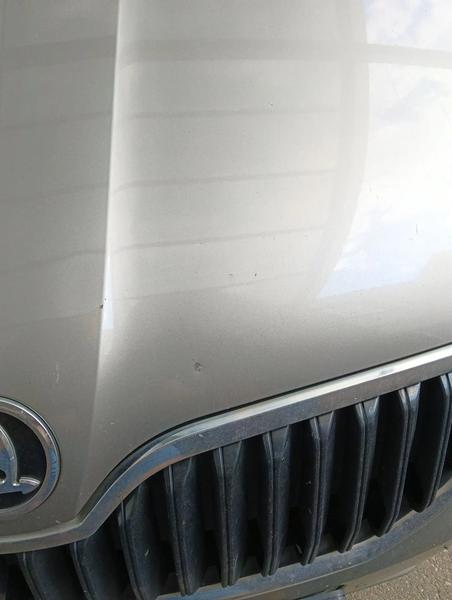 Skoda Octavia 2016, фото 10