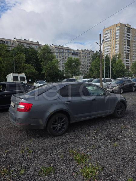 Skoda Octavia 2017, фото 5