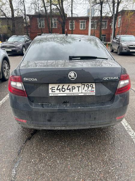 Skoda Octavia 2019, фото 2