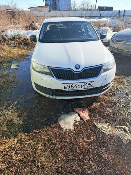 Skoda Rapid 2017, фото 3