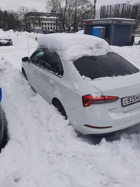 Skoda Rapid 2020, фото 3