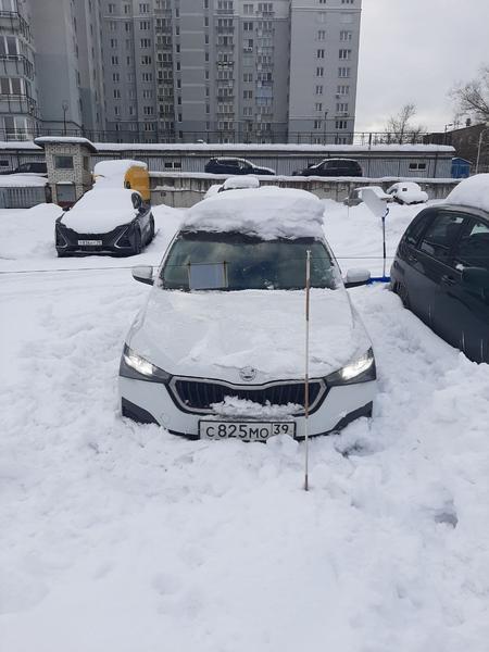 Skoda Rapid 2020, фото 15