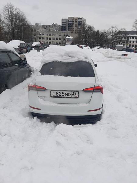 Skoda Rapid 2020, фото 2
