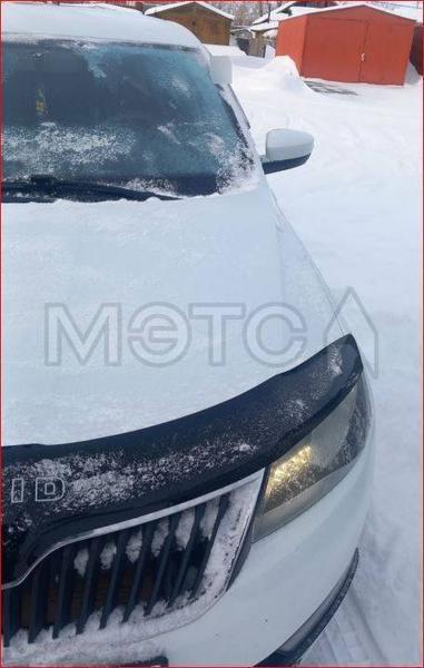 Skoda Rapid 2017, фото 11