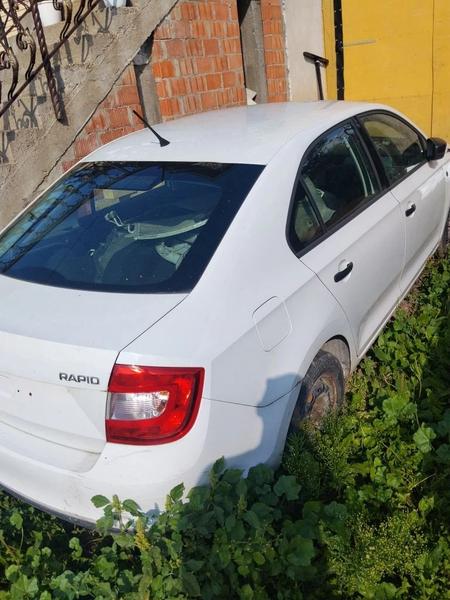 Skoda Rapid 2015, фото 3