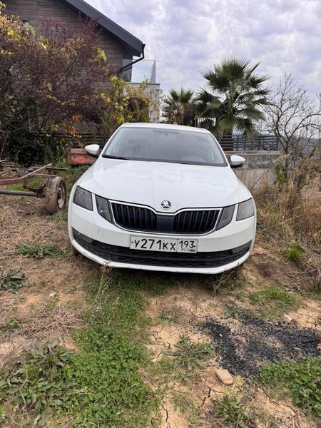 Skoda Octavia 2018, фото 2
