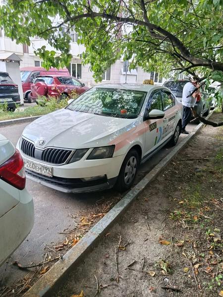 Skoda Octavia 2018, фото 2