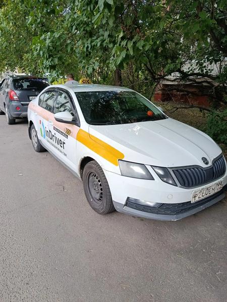 Skoda Octavia 2018, фото 3