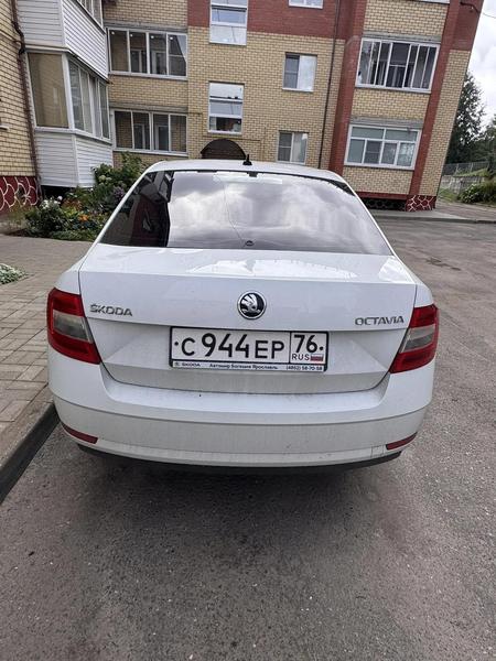 Skoda Octavia 2020, фото 7