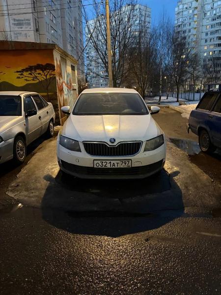 Skoda Octavia 2015, фото 5