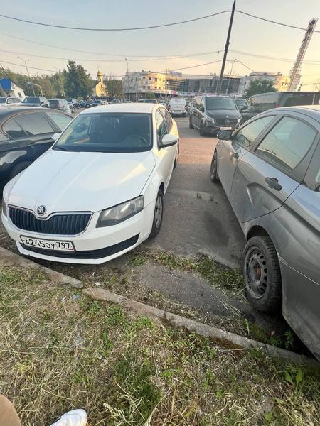 Skoda Octavia 2014, фото 24