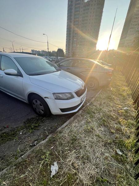 Skoda Octavia 2014, фото 25