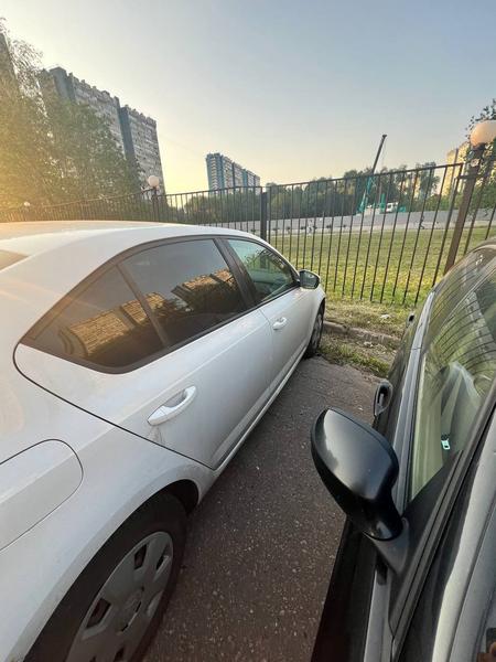 Skoda Octavia 2014, фото 26
